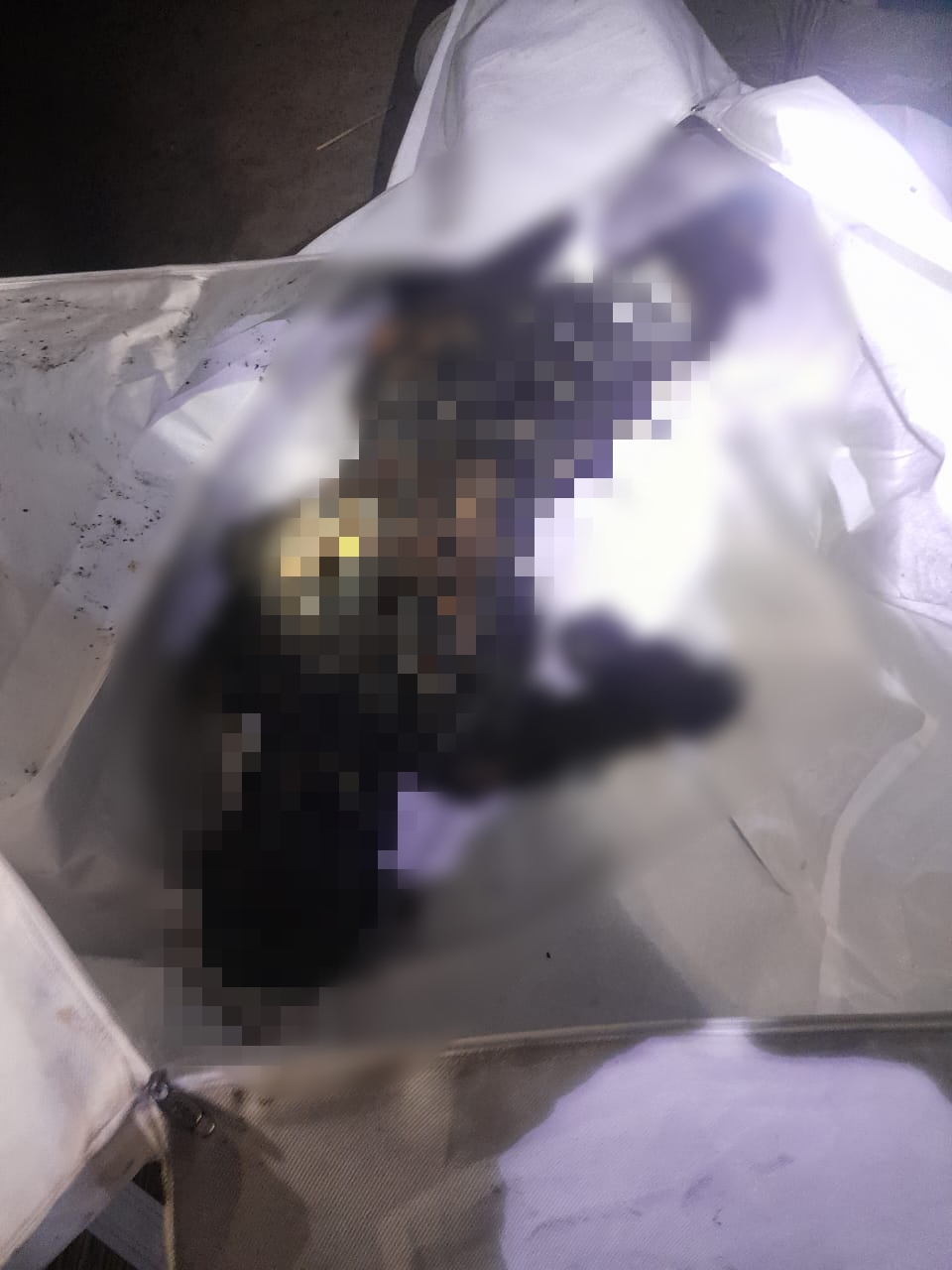 বৈদ্যুতিক শর্ট সার্কিটে প্যারালাইজ বৃদ্ধ মৃ ত্যু, ঘরবাড়ি ও গবাদিপশুর ব্যাপক ক্ষয়ক্ষতির